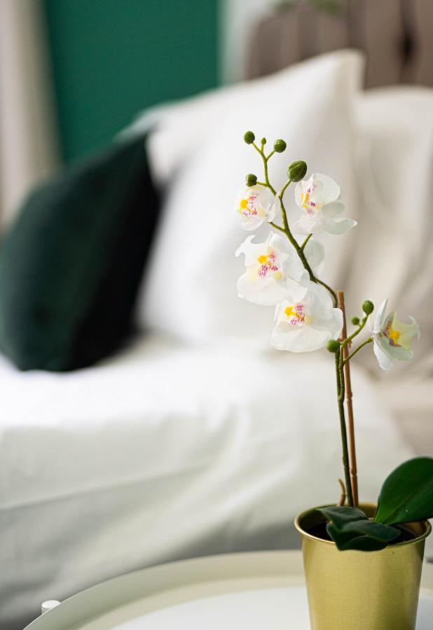 Comfortable House In Nuneaton Sleeps5 Free Parking Good Amenites エクステリア 写真